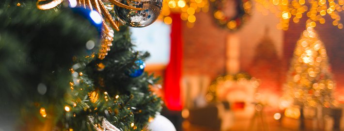 Раннее бронирование на Новогодние заезды!