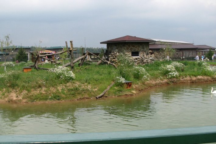 Как я провел это лето. Фотодневник. – 9