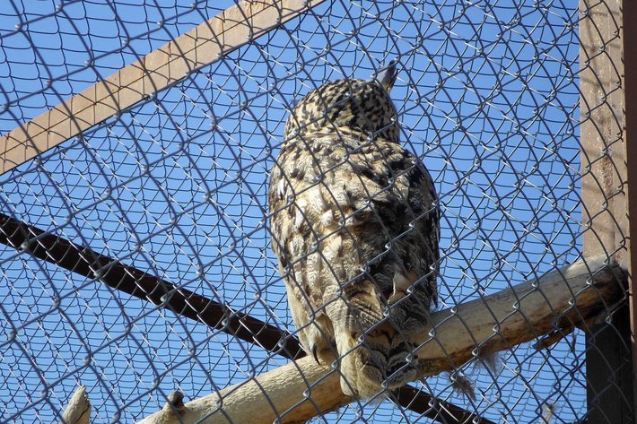 Как я провел это лето. Фотодневник. – 8