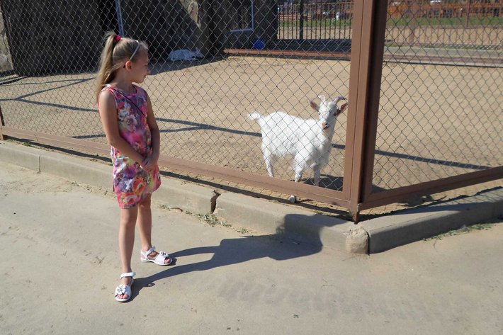 Как я провел это лето. Фотодневник. – 7