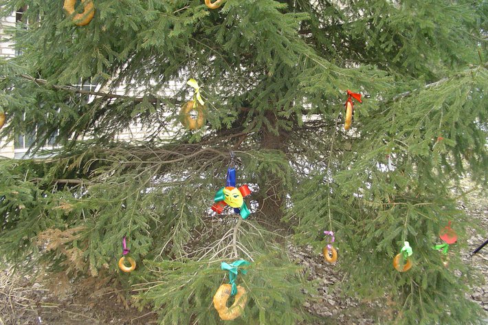 Праздник Масленицы в санатории «Вороново» – 6