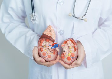 Наблюдение пациентов с мочекаменной болезнью, хроническим пиелонефритом