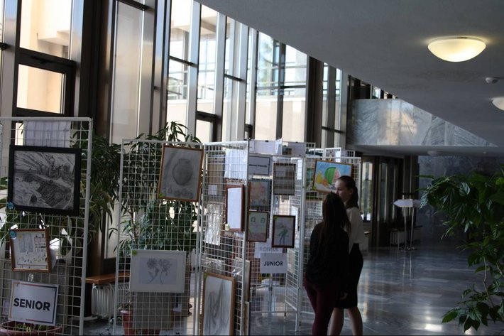 Олимпиада Школы завтрашнего дня – 2