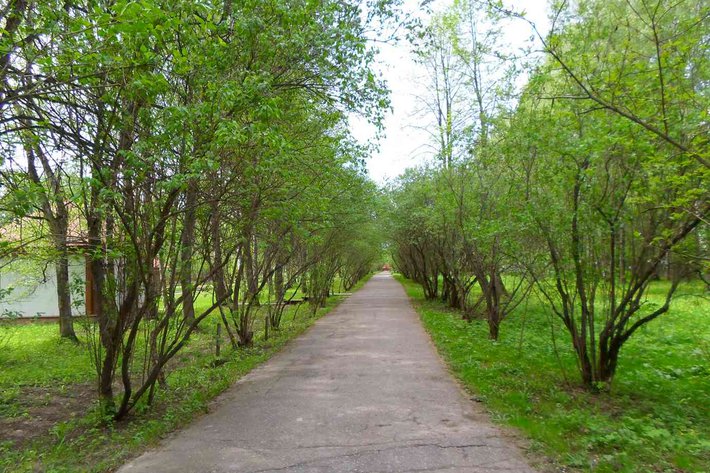 Экскурсия в Мелихово и Талеж – 3