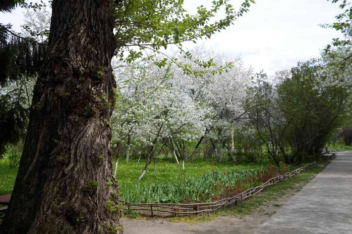 Экскурсия в Мелихово и Талеж – 2