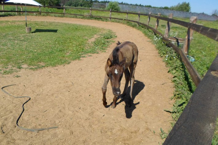 Как я провел это лето. Фотодневник. – 17