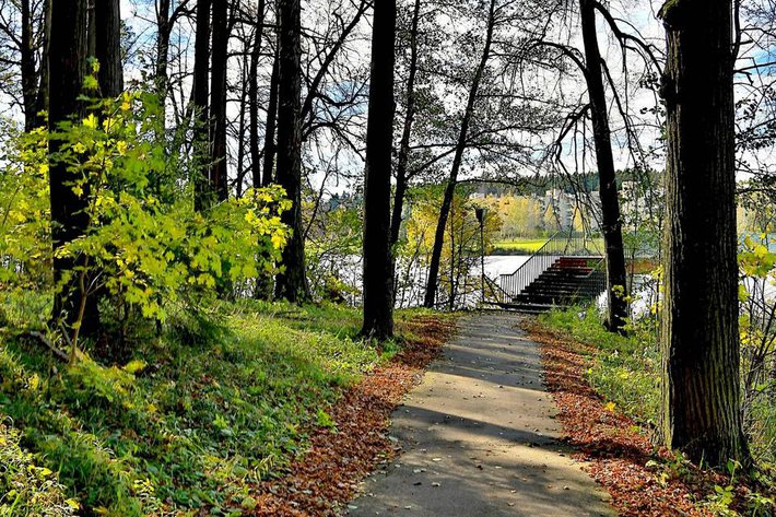 территория 2.jpg