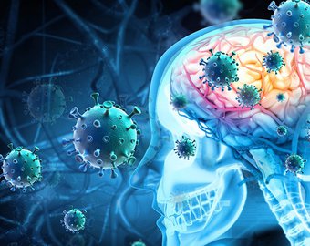 Менингит: заболеваемость с высокой смертностью растёт.  Как защитить себя и свою семью?